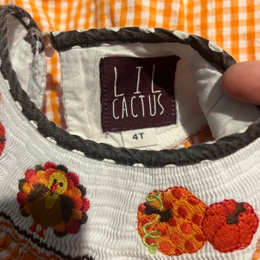 Lil Cactus Girls 4T Thanksgiving Turkey Smocked Gingham Dress Orange Brown - Picture 3 of 7